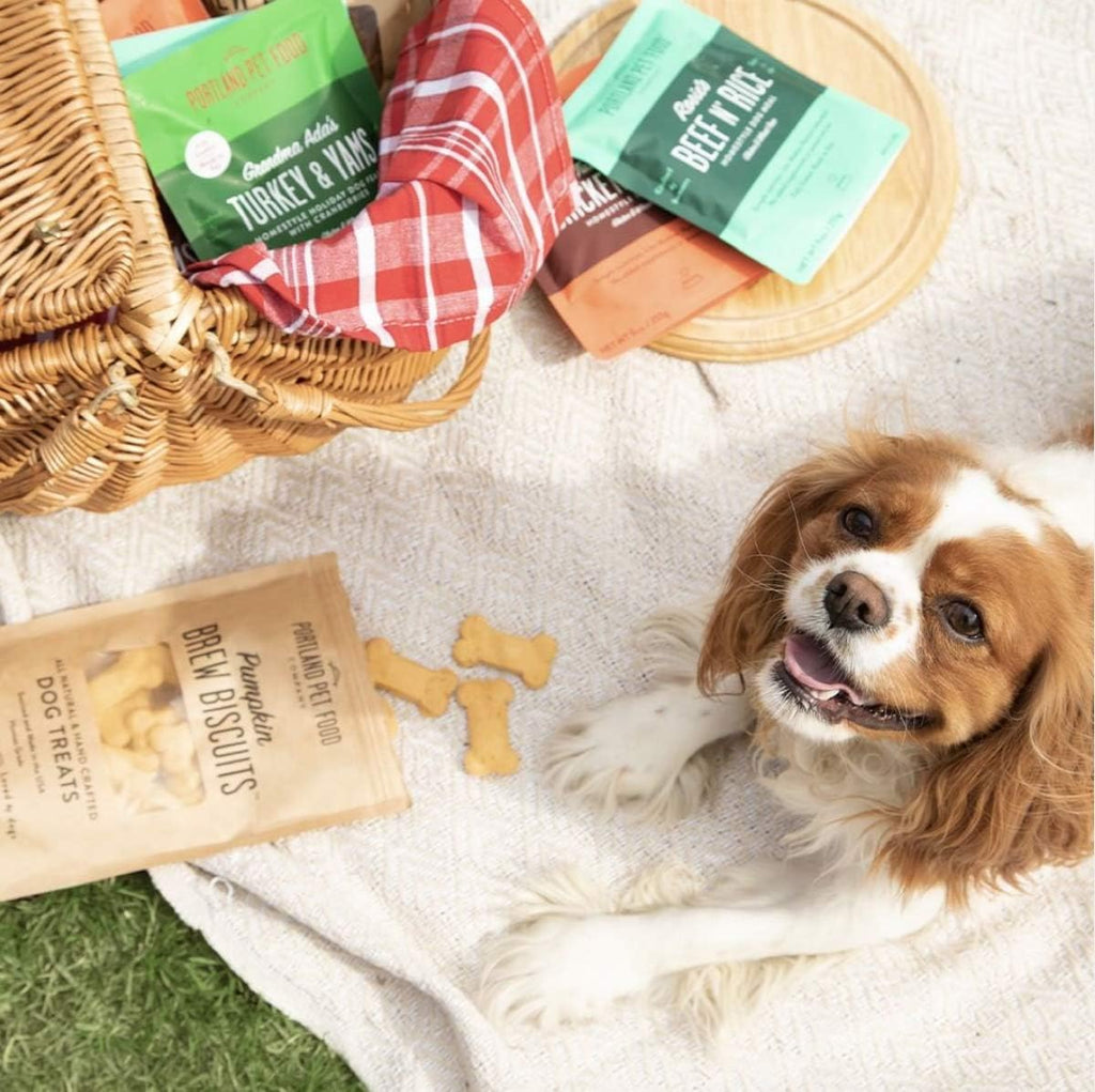 Hopkin'S Pork 'N' Potato All Natural Dog Food, Fully Cooked Microwavable Meal Pouches, Grain & Gluten-Free, USA Made, 4 Pack (4 X 9Oz)